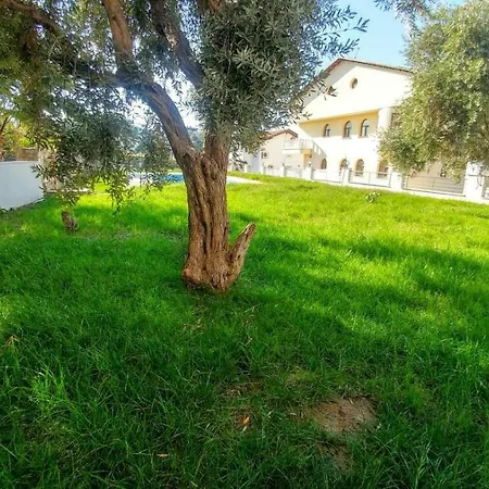 Becerik Kusadası